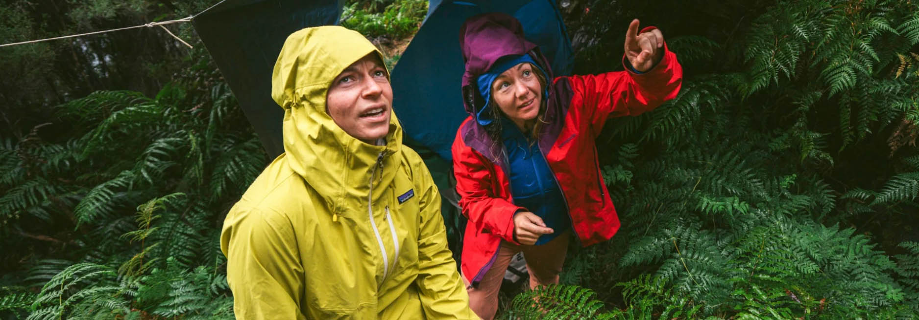 The Outdoor Clothing Store -The Outdoor Clothing Store dgtr